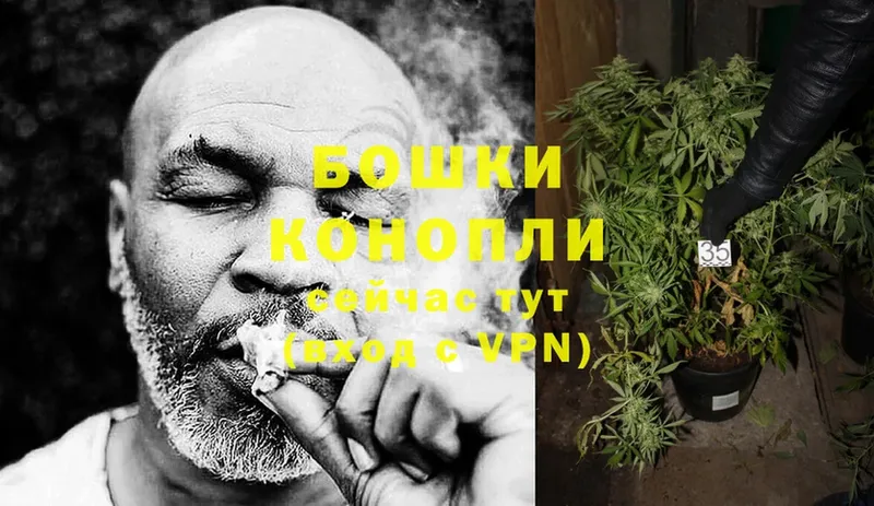 Марихуана OG Kush  Северск 